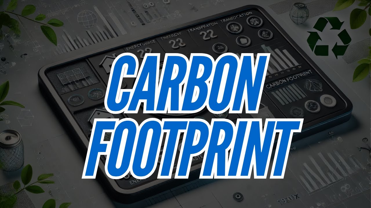 How Can You Reduce Your Carbon Footprint: Practical Steps for a Sustainable Lifestyle