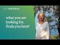 Cilento: What you are looking for, finds you here.