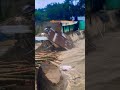 বাংলাদেশে নদী ভাঙ্গনের কিছু দৃশ্য😭😭#shortvideo