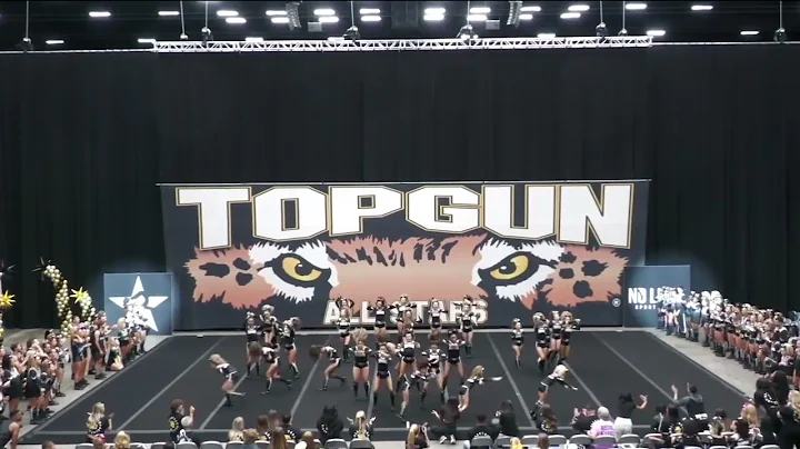 Top Gun Savannah - Golden Gloves