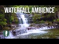 Tasmania Waterfall Ambience in 4K, 1 Hour Ambience Relaxation, Australia Nature, Nature Therapy