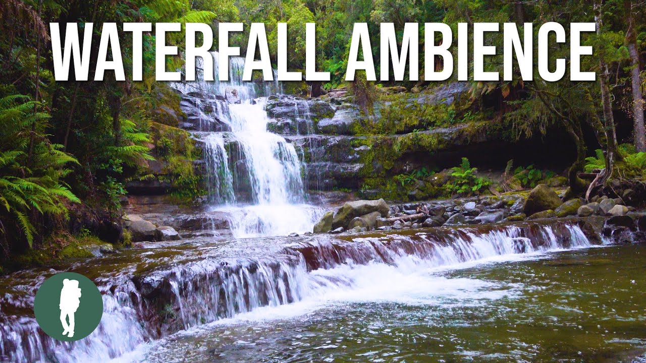 Documentary backdrop image for Tasmania Waterfall Ambience in 4K, 1 Hour Ambience Relaxation, Australia Nature, Nature Therapy (2020)