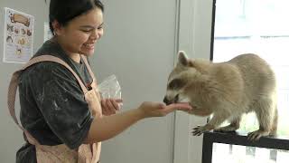Paw Country Cafe in Bangkok / เดอะ พอว์ คันทรี คาเฟ่ ใน กรุงเทพมหานคร