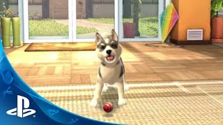 Playstation Vita Pets Announce Trailer screenshot 5