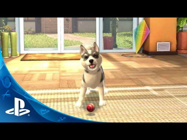 PlayStation Vita Pets - Wikipedia