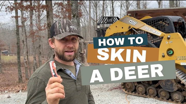 How to a butcher a deer! Part 1: Skinning