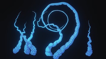 Blender Geometry Nodes   Tentacle