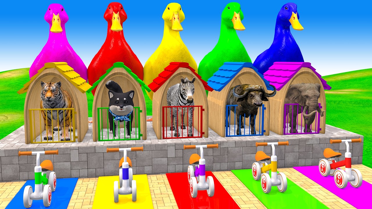Long Slide Game With Cow Elephant Gorilla Hippopotamus Tiger - 3d Animal Game - Funny 3d Animals