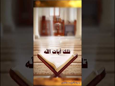 وإذا طلقتم النساء فبلغن أجلهن فلا تعضلوهن أن ينكحن أزواجهن إذا تراضوا البقرة آية 232 سعد الغامدي