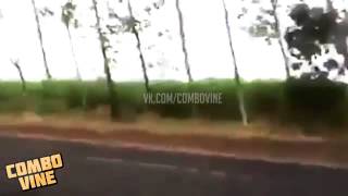 Combo Vine 165