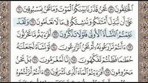 سورة الواقعه الصفحة 536 الشيخ محمد صديق المنشاوي