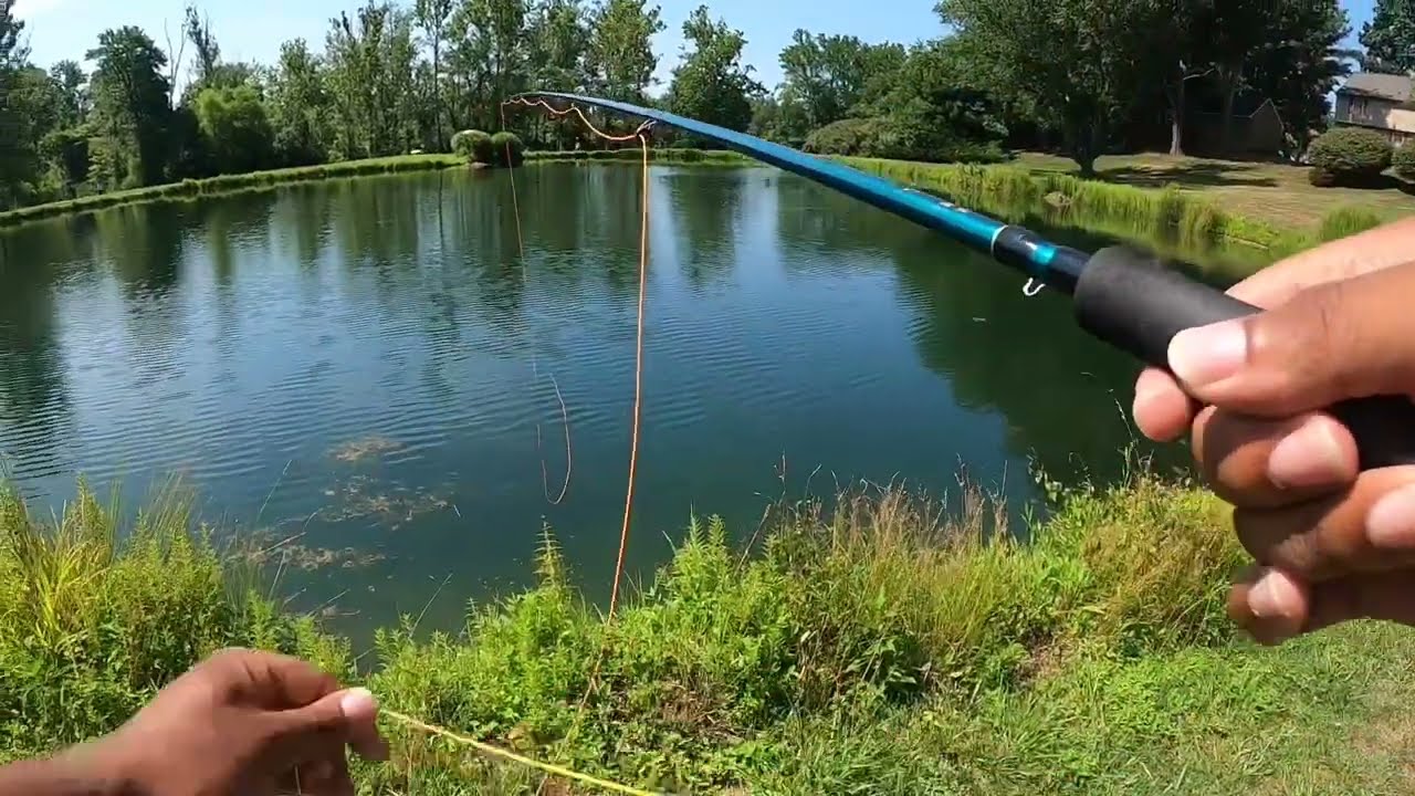 BIG BASS  ATTACKS  LIVE SMALL BABY BASS !!!!!!!! 😭😭