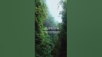 القرآن الكريم QuranKarim #اكسبلور #راحة_نفسية #قرآن #لايك #حالات_واتس #خشوع #تلاوة_خاشعة #تيك_توك