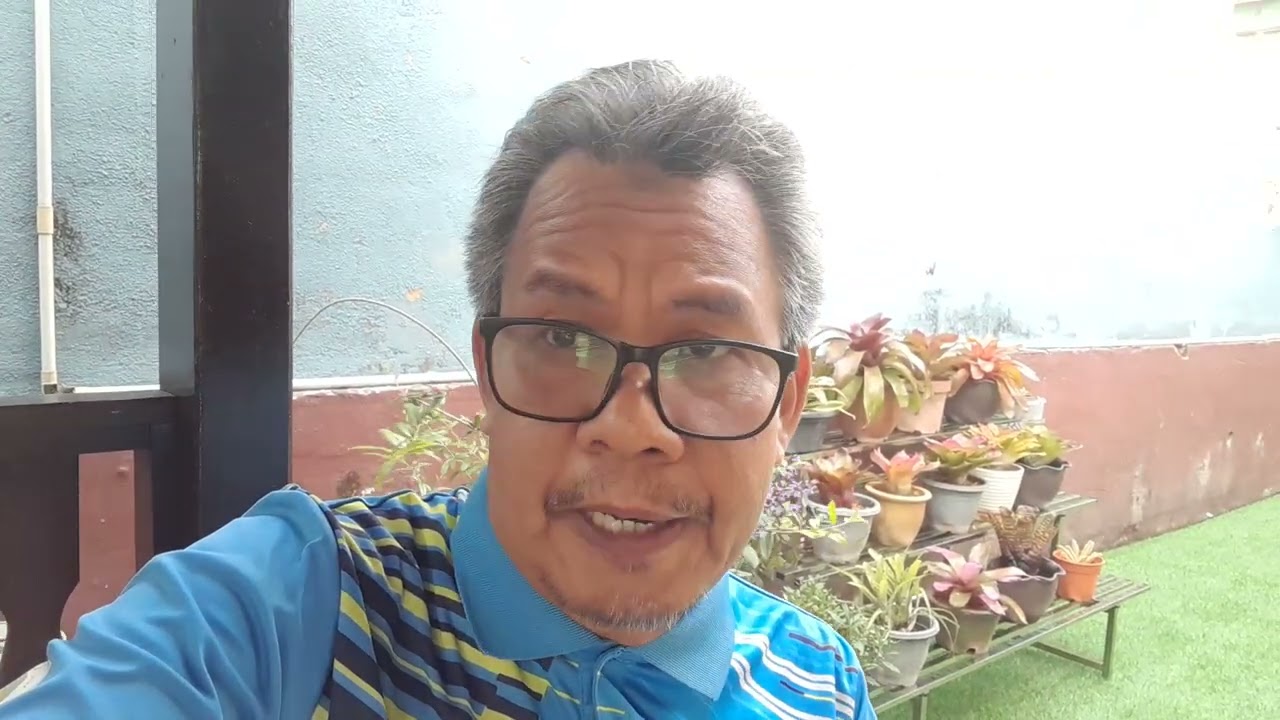 PRN MELAKA : PH BOLEH MENANG JIKA TANDING SOLO