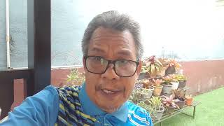 Download Lagu PRN MELAKA : PH BOLEH MENANG JIKA TANDING SOLO MP3