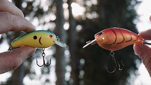 1$ Crankbait Vs 8$ Crankbait/Which is Better?