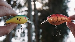 1$ Crankbait Vs 8$ Crankbait/Which is Better? 