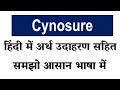 Cynosure meaning in Hindi // Explained Cynosure With Using Sentence