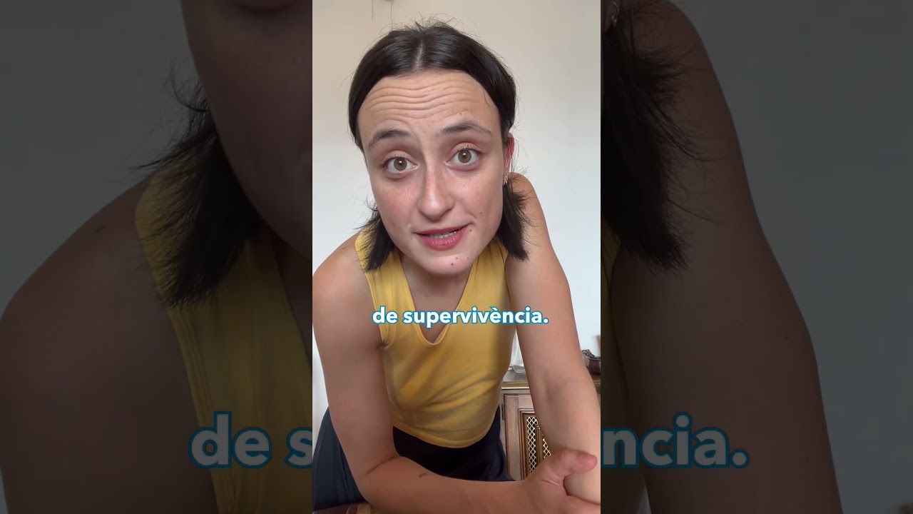 La llebre i la telefonia mòbil