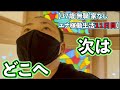 遅れてきた夏【37歳 無職 家なし エナ稼働生活11日目】