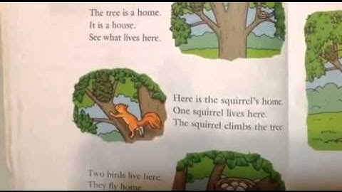 Unit 2   Lesson 1 Video 1