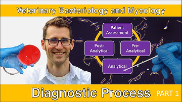 Diagnostic Process (Part 1) - Veterinary Bacteriology and Mycology