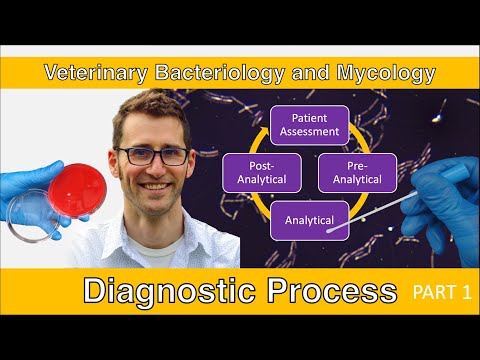 Veterinary Diagnostic Laboratory