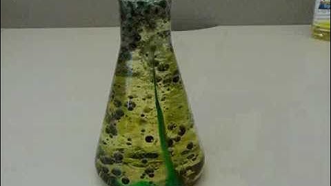 Make a Homemade Lava Lamp