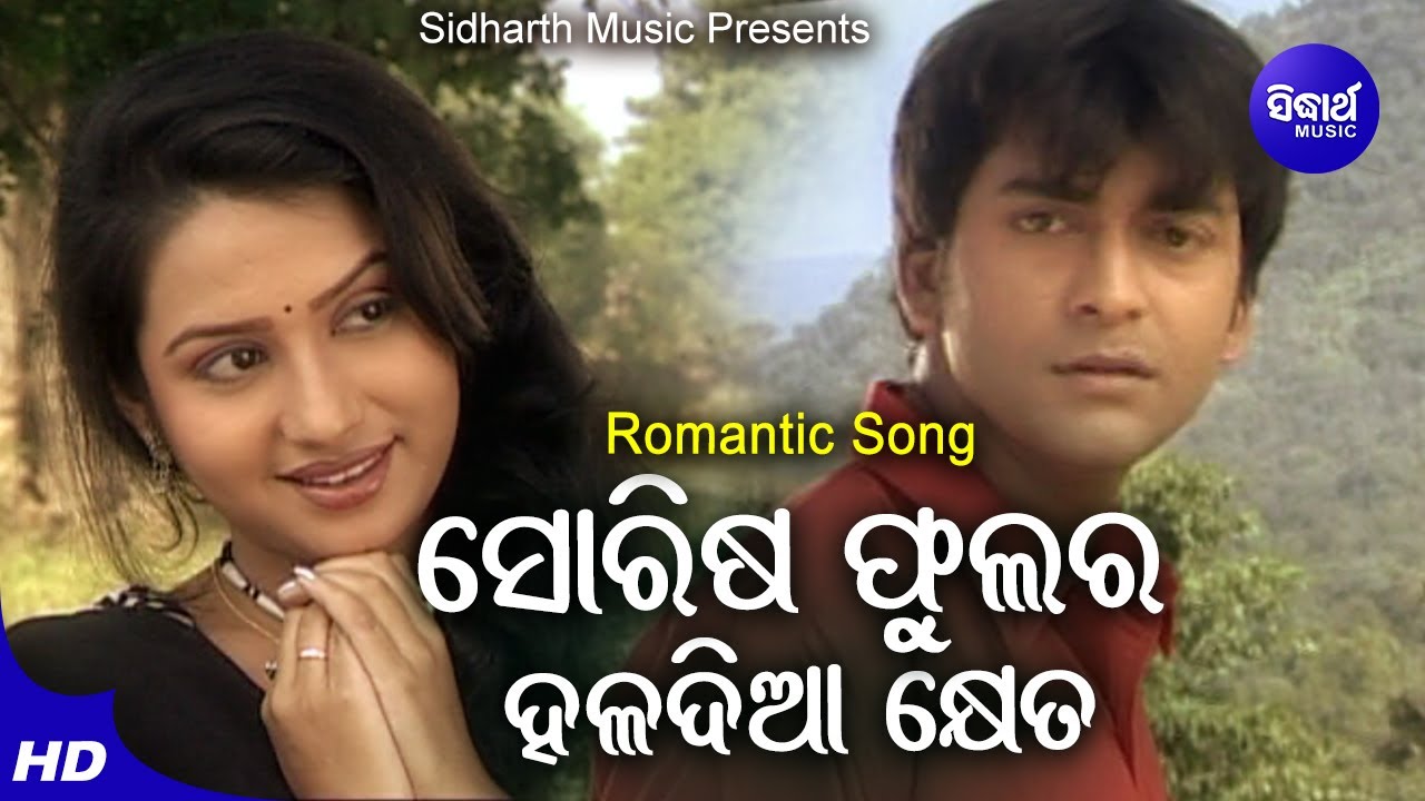 Sorisa Phulara Haladia Kheta   Romantic Album Song  Nibedita  SomeshAmeliNeina  Sidharth Music
