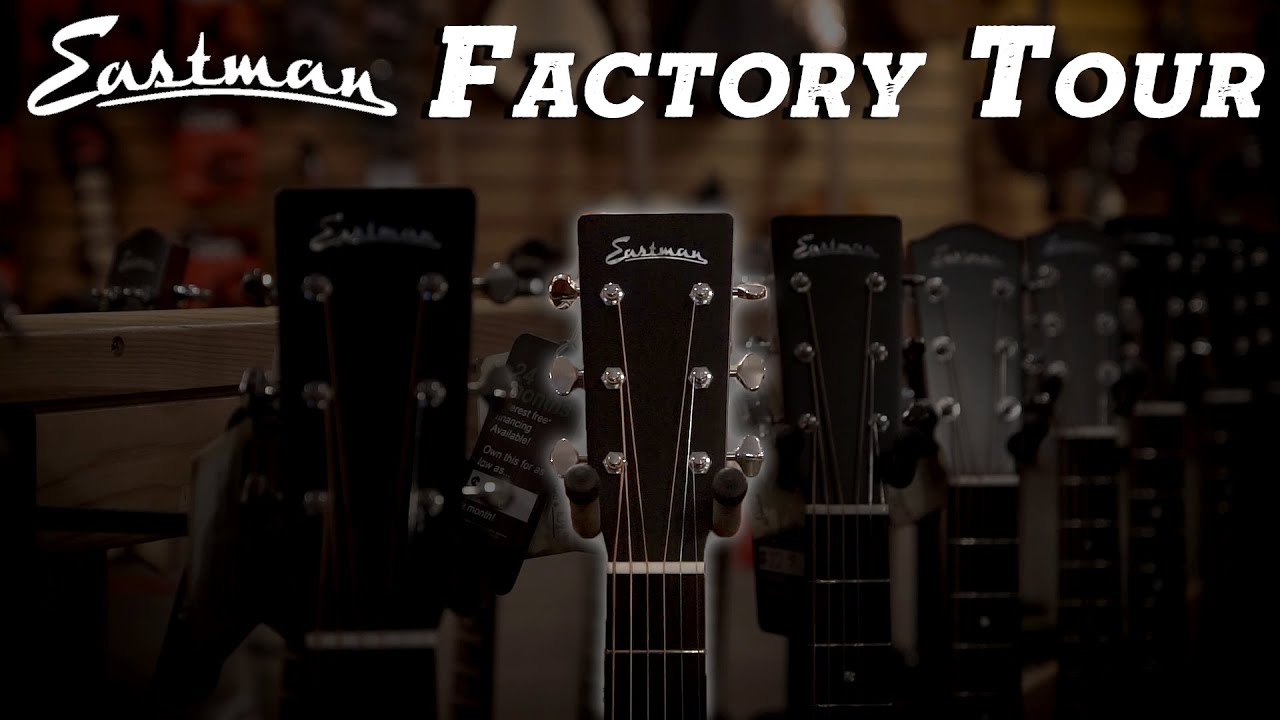 Eastman cl81s deals