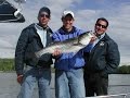 Striped Bass Fishing - Topwater - Hartford, CT