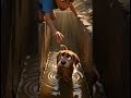 Not all heroes wear capes Some just have kind hearts❤️🐶 #shortstory #lifelessons #animallove #ai