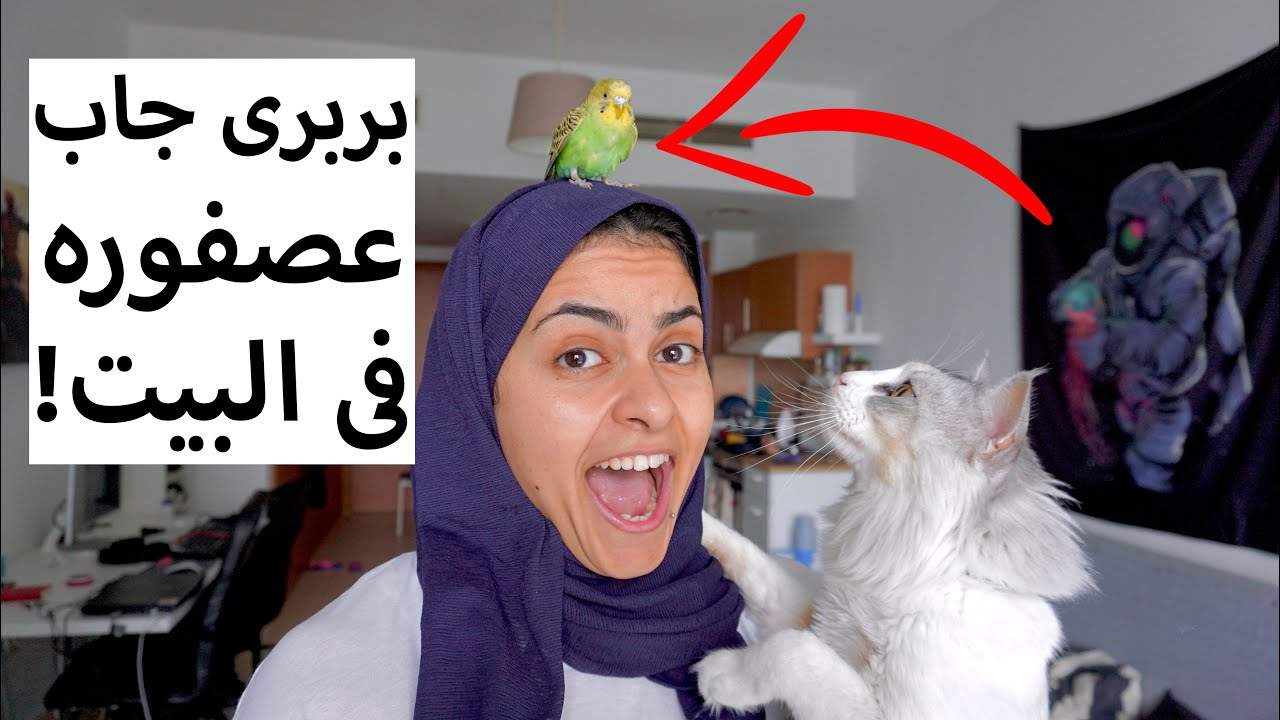 يومنا بالكامل فى الحجر المنزلى - Vlog 1