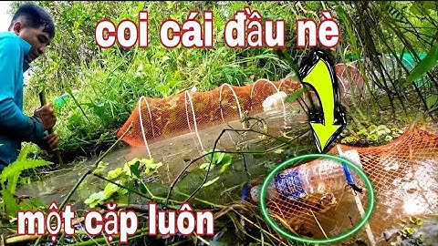 Dữ lắm rồi,,cứng một dớn luôn,,vũ heo