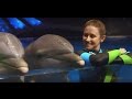 The Incredible Life of a Dolphin Trainer
