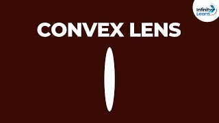 What are Convex Lenses? | Don't Memorise