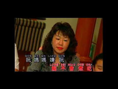 小黑 - 爱做梦的查处媒囡仔 【歌词】