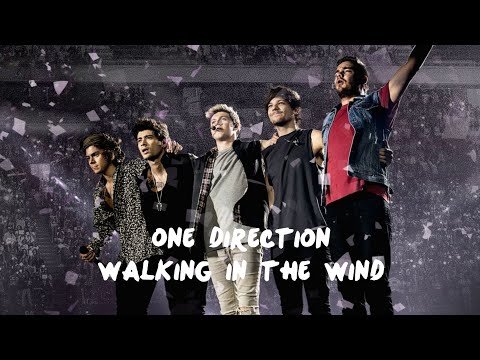 Смотреть клип One Direction - Walking In The Wind