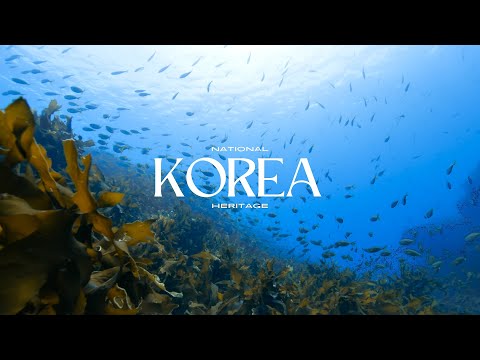 바다가 감싸 안은 선율, 독도에 울려 퍼지다 | 독도의날 특집(SUB)