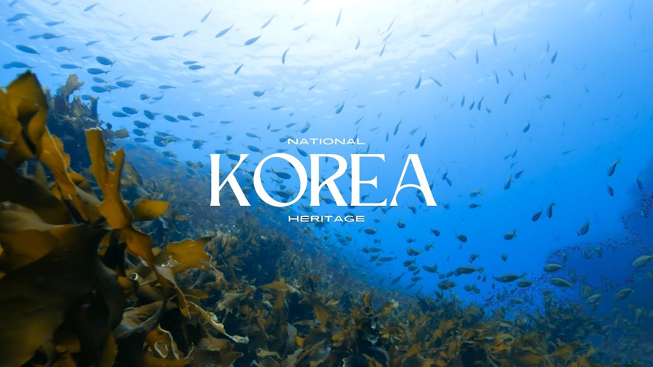 바다가 감싸 안은 선율, 독도에 울려 퍼지다 | 독도의날 특집(SUB)