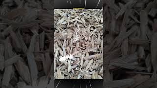 7 Benda Surga Yang Ada Di Bumi bumi surga kisahislami shorts nabimuhammad