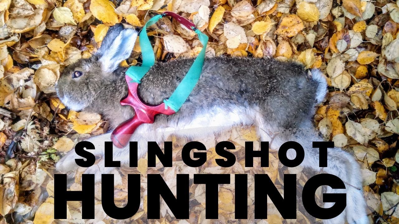 Slingshot Hunting Snowshoe Hare and Grouse Excellent Outings! YouTube