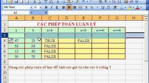 hướng dẫn sử dụng MS Excel 2003 phần 3.mp4