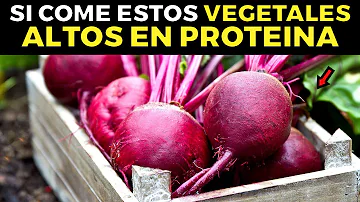 ¿Qué alimento vegetal es rico en proteínas?