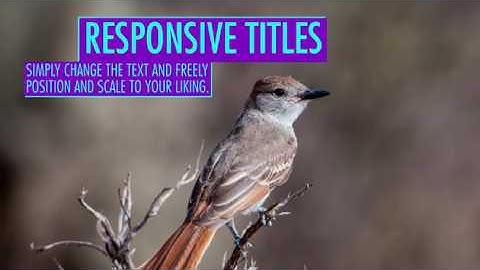 Free Social Media Titles After Effects Template