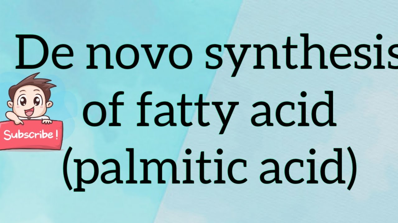 De novo synthesis of fatty acid (Palmitic acid) YouTube