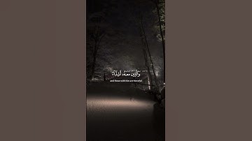 2.Ramadan #سورة_الفتح #ياسر_الدوسري #اكسبلور #quran #yasseraldossary