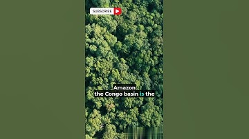 Which is the second largest forest in the world?#facts #shorts #congo #forest