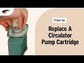 Circulator Pump Cartridge Replacement