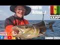Jigging  popping  seb in action  guinea fishing camp  janvier 2023